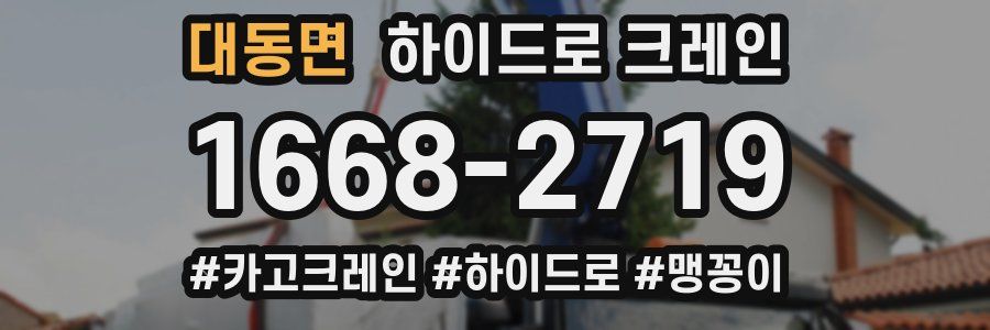 대동면 하이드로 크레인