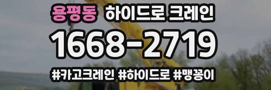 용평동 하이드로 크레인