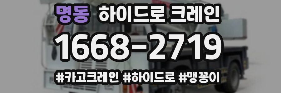 명동 하이드로 크레인