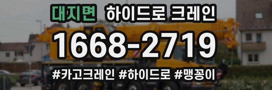 대지면 하이드로 크레인