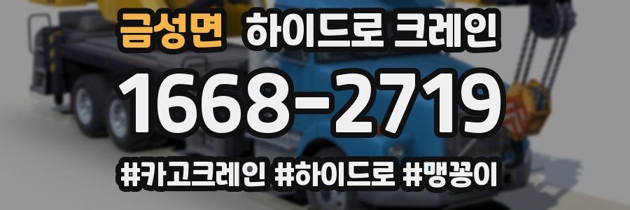 금성면 하이드로 크레인