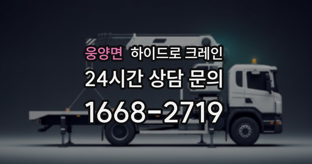 웅양면 하이드로 크레인