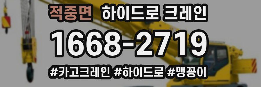 적중면 하이드로 크레인