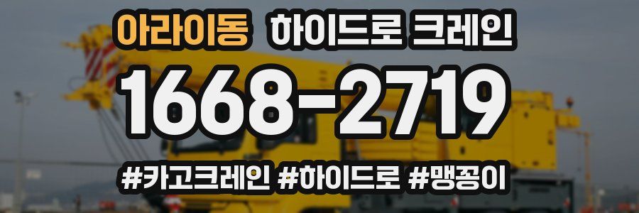아라이동 하이드로 크레인