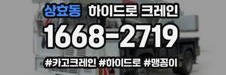 상효동 하이드로 크레인