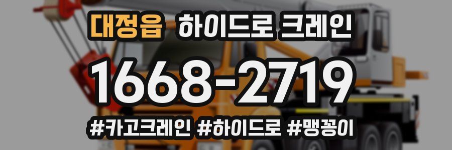 대정읍 하이드로 크레인