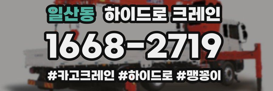 일산동 하이드로 크레인