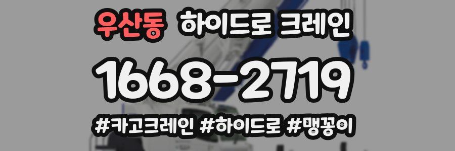 우산동 하이드로 크레인