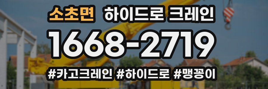 소초면 하이드로 크레인