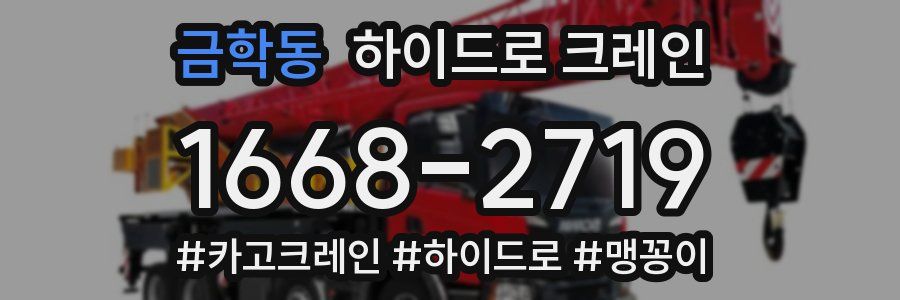 금학동 하이드로 크레인