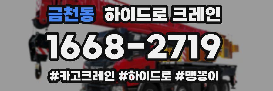 금천동 하이드로 크레인
