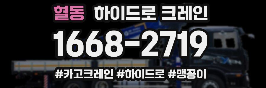 혈동 하이드로 크레인