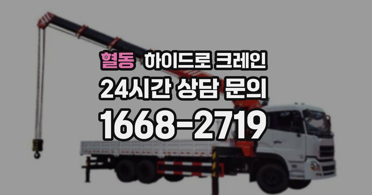 혈동 하이드로 크레인