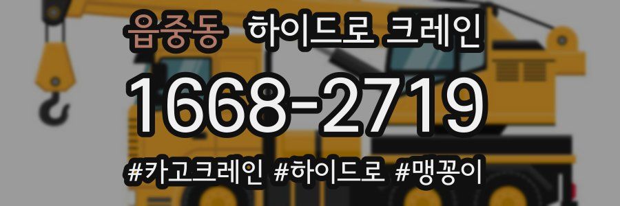 읍중동 하이드로 크레인