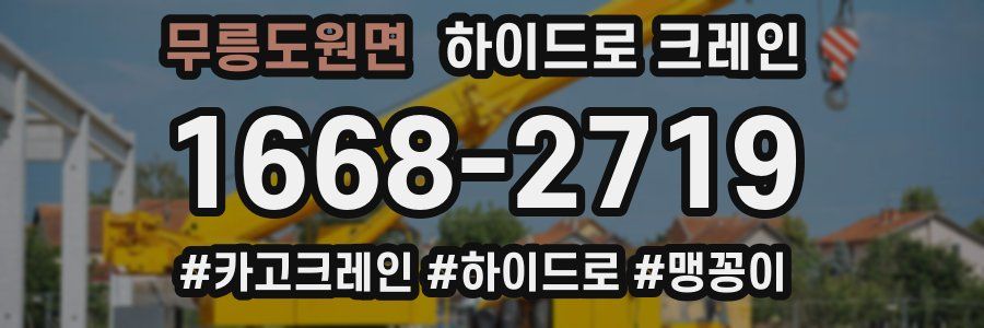 무릉도원면 하이드로 크레인