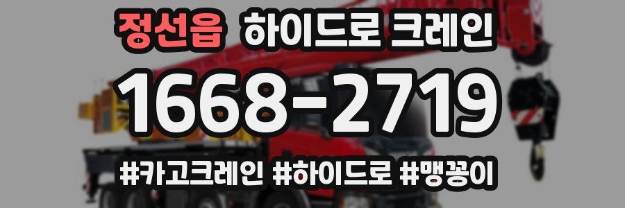 정선읍 하이드로 크레인