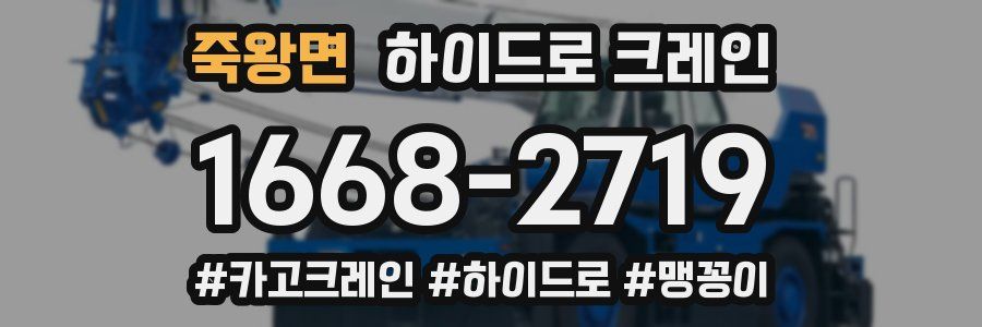 죽왕면 하이드로 크레인