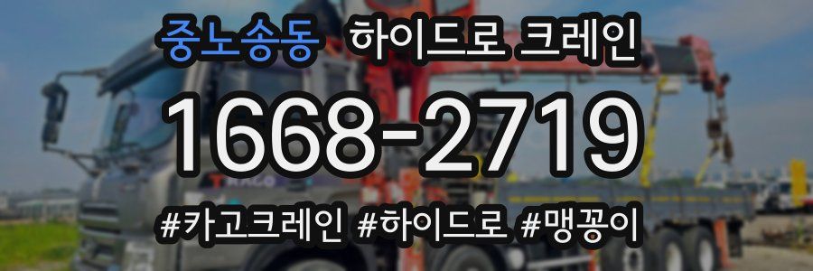중노송동 하이드로 크레인