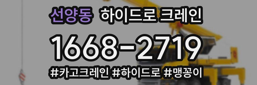 선양동 하이드로 크레인