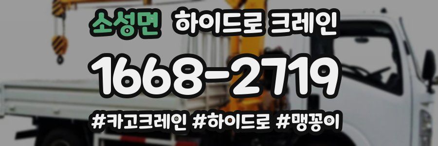 소성면 하이드로 크레인