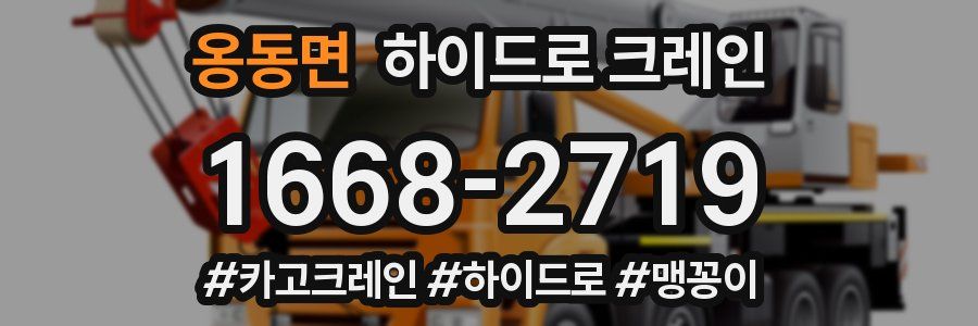 옹동면 하이드로 크레인