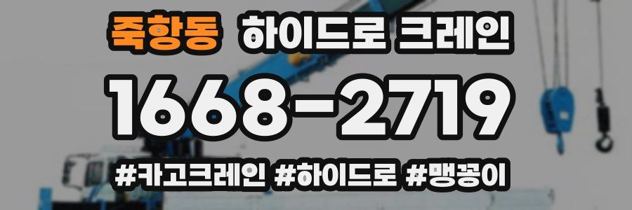 죽항동 하이드로 크레인