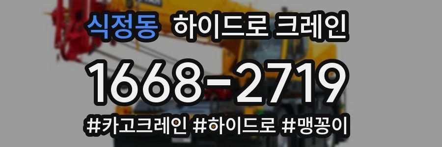 식정동 하이드로 크레인