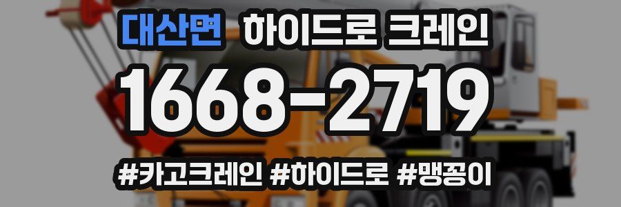 대산면 하이드로 크레인