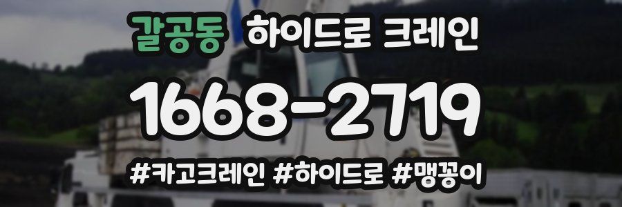 갈공동 하이드로 크레인