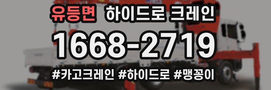 유등면 하이드로 크레인