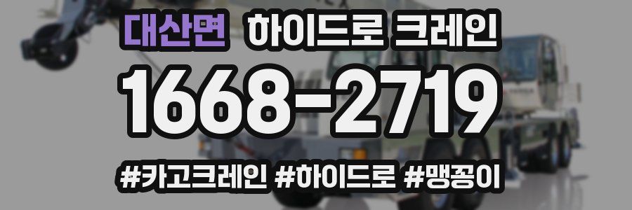 대산면 하이드로 크레인