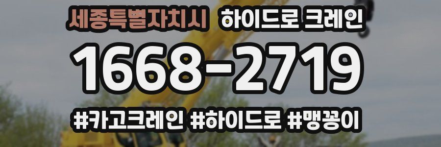 세종특별자치시 하이드로 크레인