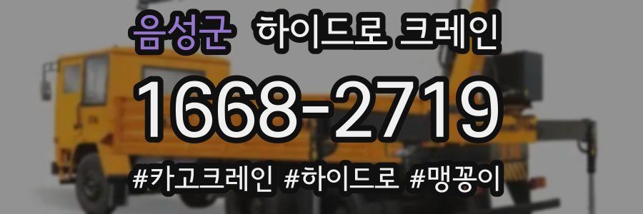 음성군 하이드로 크레인