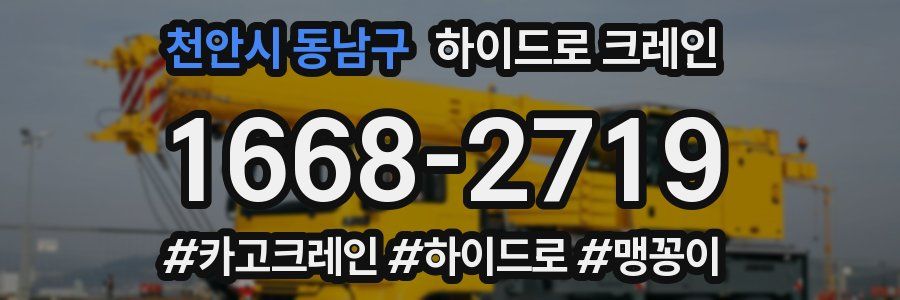 천안시 동남구 하이드로 크레인