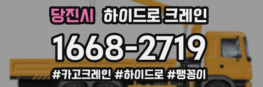 당진시 하이드로 크레인