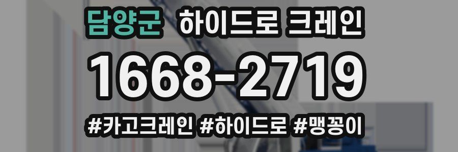 담양군 하이드로 크레인