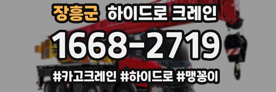 장흥군 하이드로 크레인