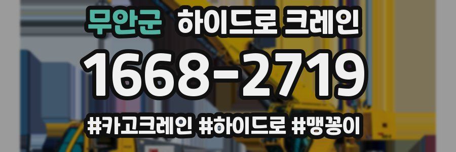 무안군 하이드로 크레인