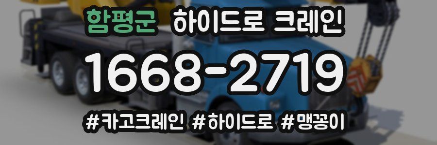 함평군 하이드로 크레인