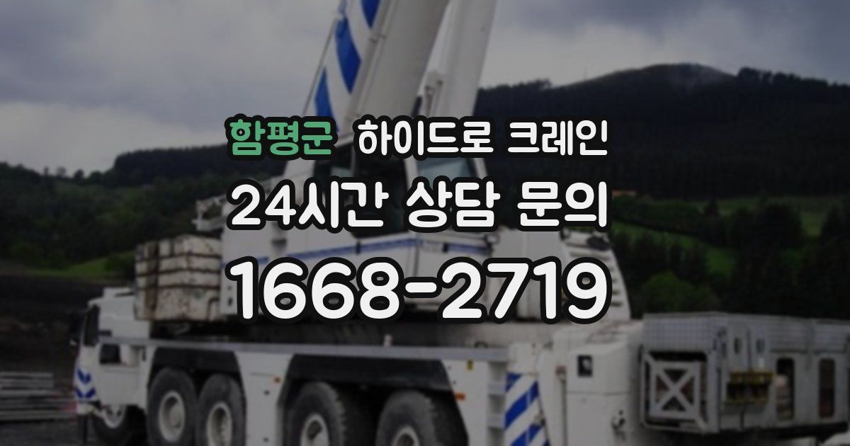 함평군 하이드로 크레인