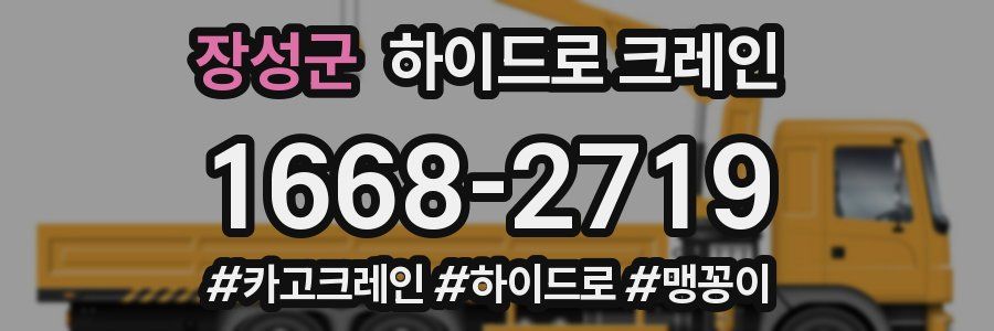 장성군 하이드로 크레인
