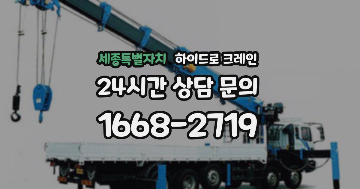 세종특별자치 하이드로 크레인