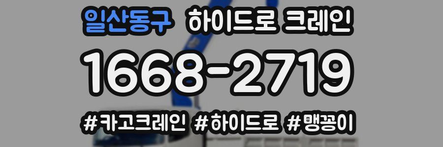 일산동구 하이드로 크레인