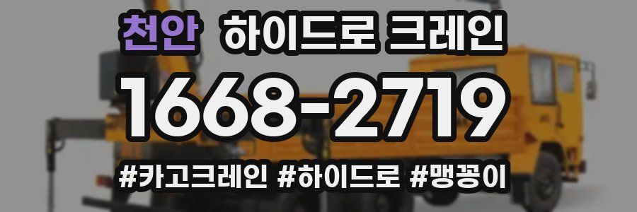 천안 하이드로 크레인