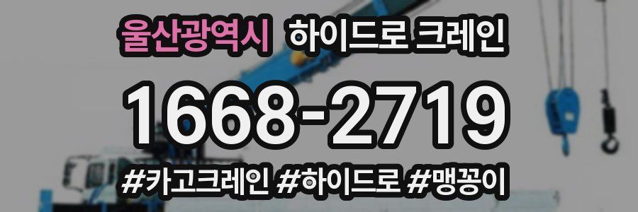 울산광역시 하이드로 크레인