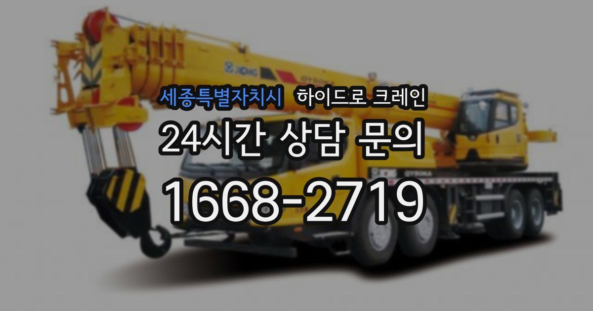 세종특별자치시 하이드로 크레인