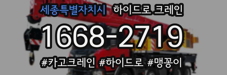 세종특별자치시 하이드로 크레인