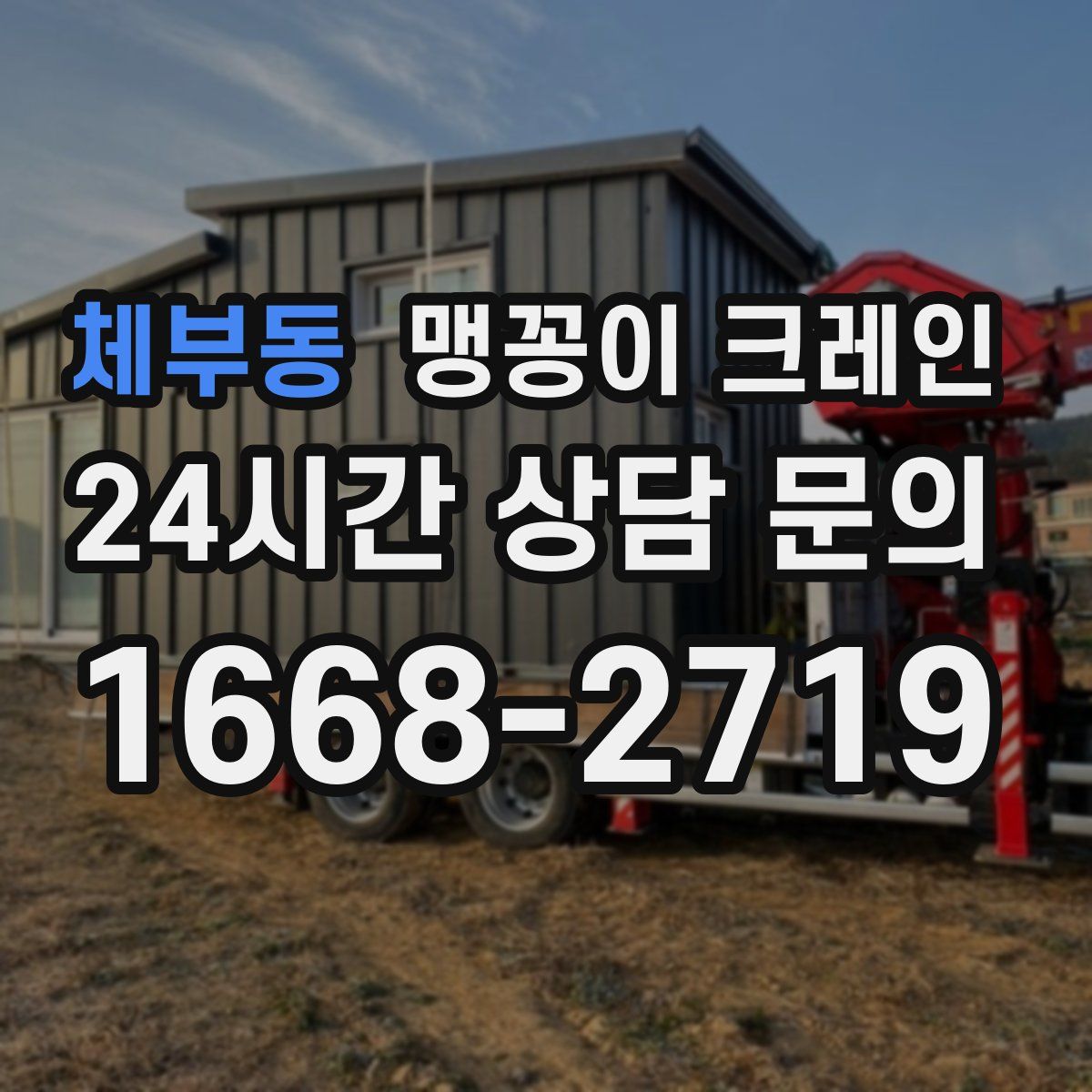 체부동 맹꽁이 크레인