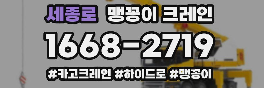 세종로 맹꽁이 크레인