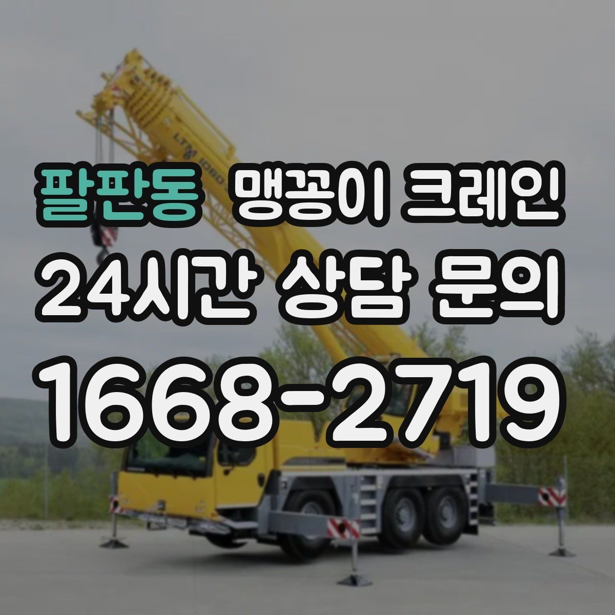 팔판동 맹꽁이 크레인 당일 출동을 위해 필요한 정보